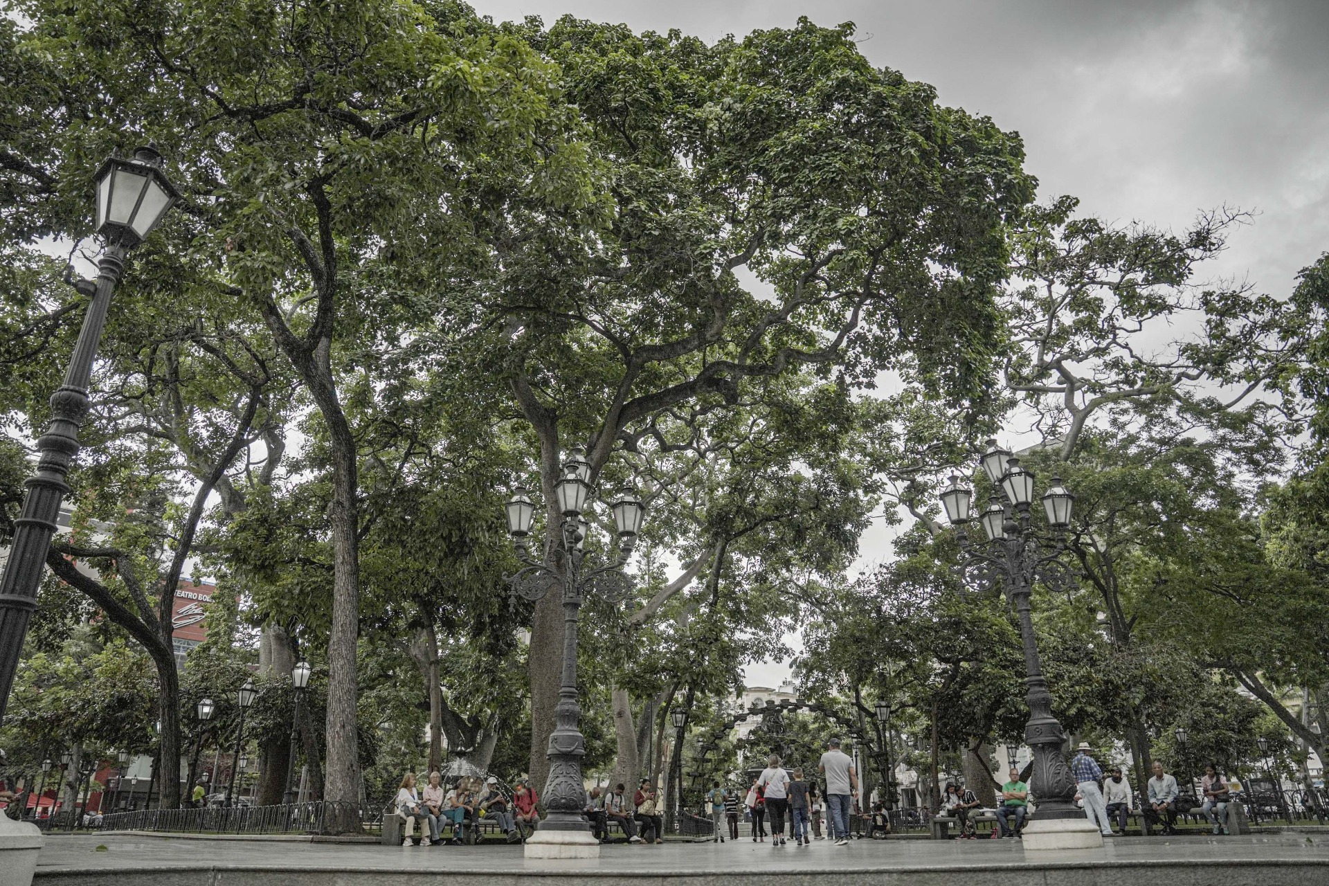Plaza Bolívar de Caracas. Foto: Fernando Mercado