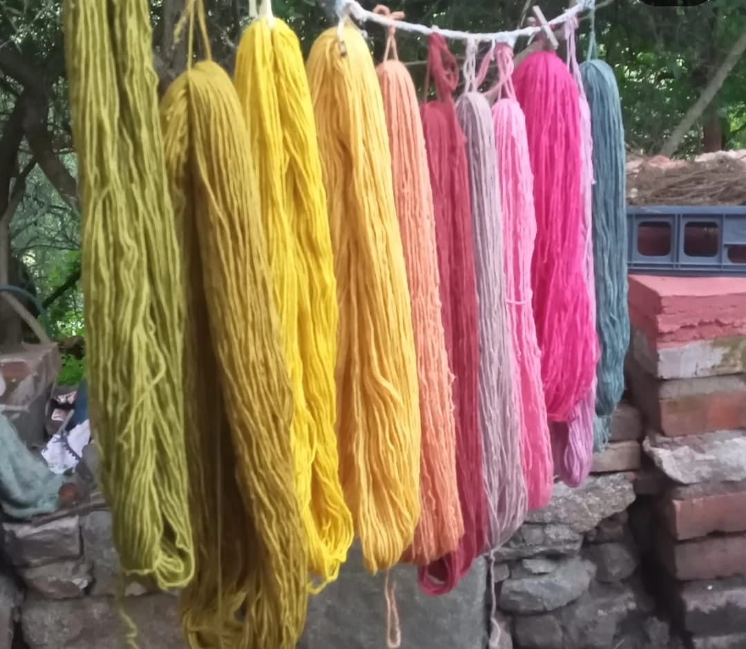 Araña de Colores (Agua de Oro)