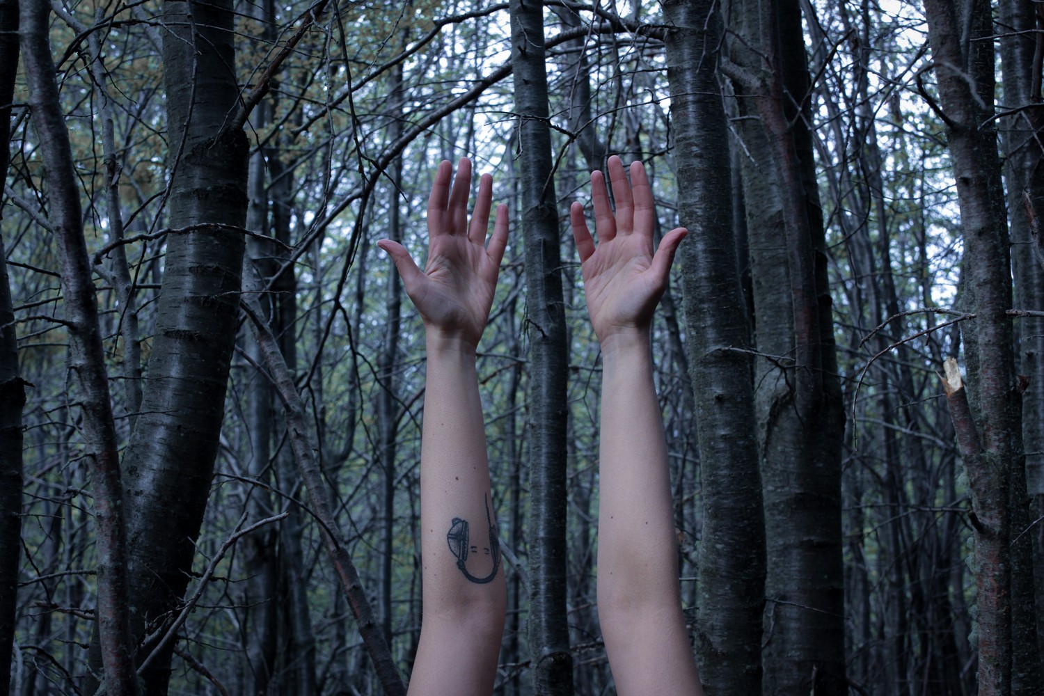 La reconstrucción de los cuerpos, Florencia Díaz (Todos los derechos reservados)