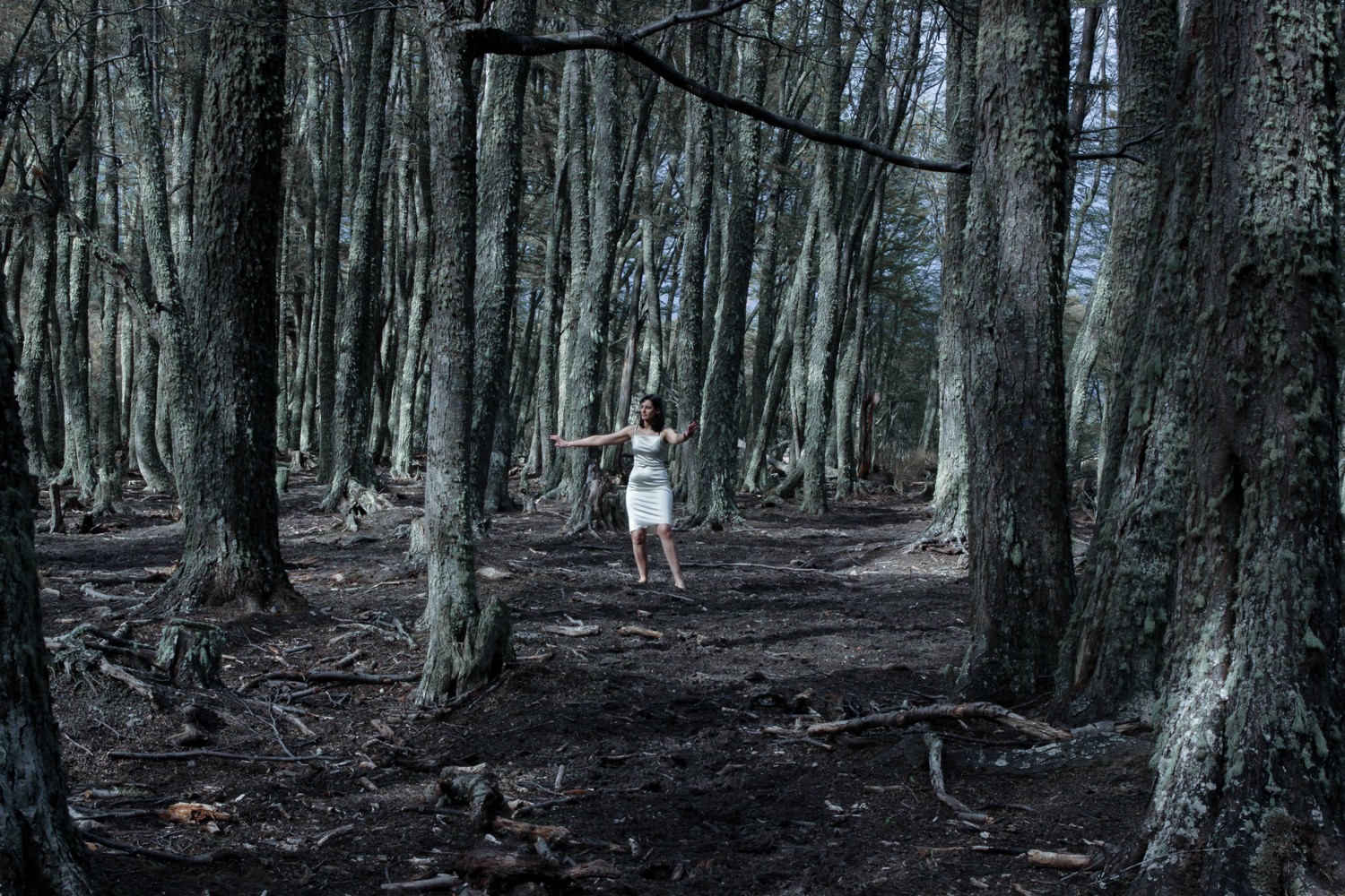 La reconstrucción de los cuerpos, Florencia Díaz (Todos los derechos reservados)