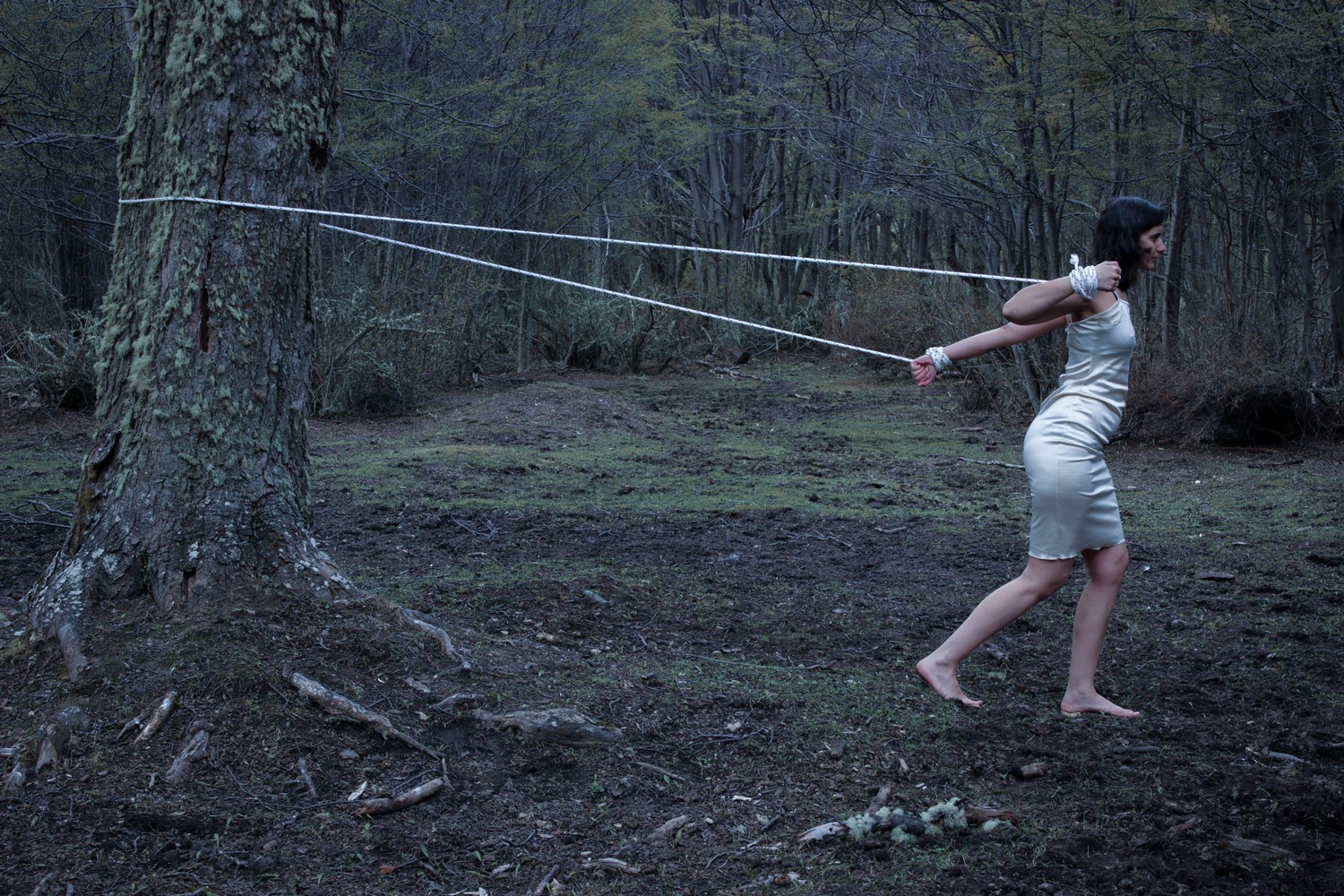 La reconstrucción de los cuerpos, Florencia Díaz (Todos los derechos reservados)