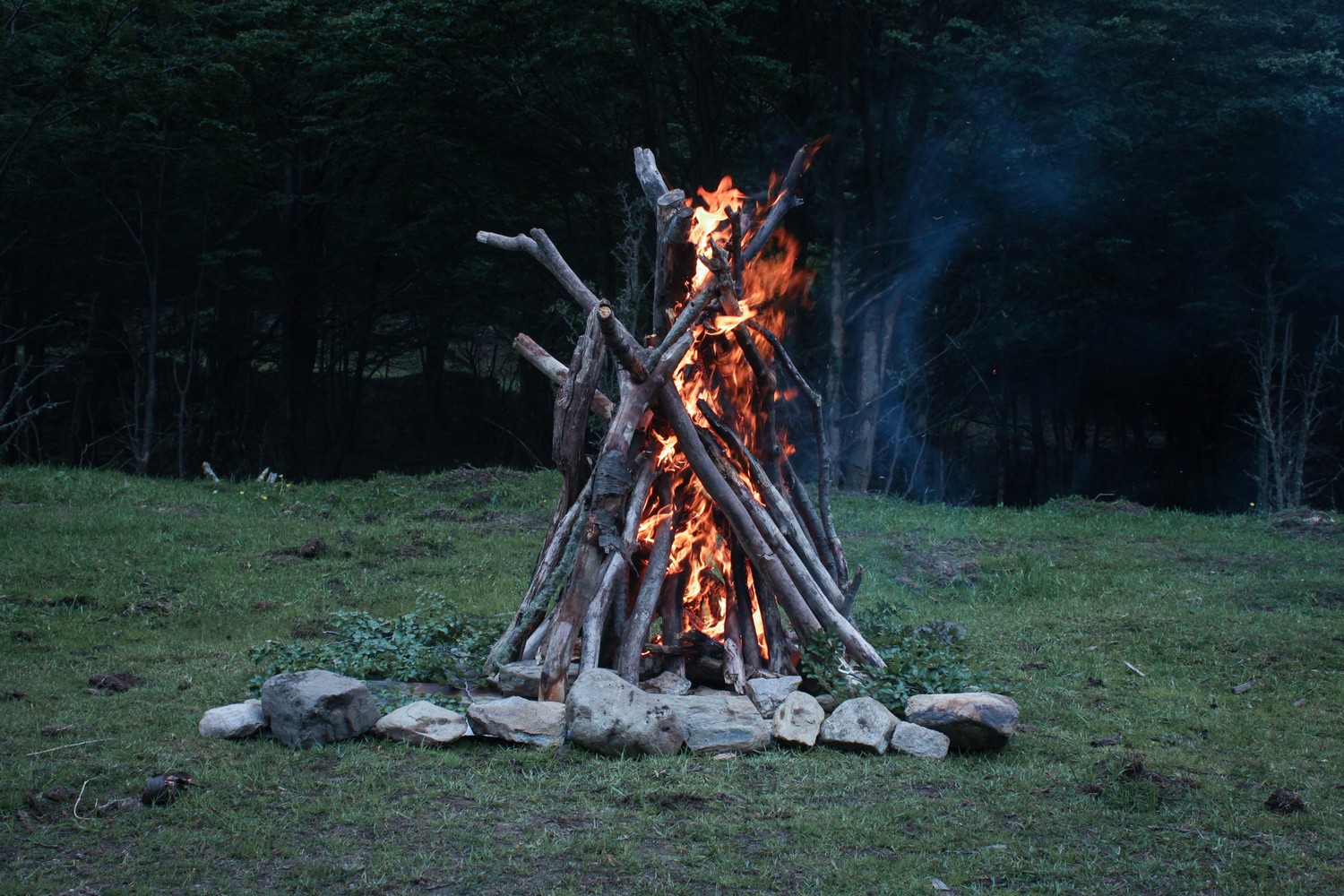 La reconstrucción de los cuerpos, Florencia Díaz (Todos los derechos reservados)