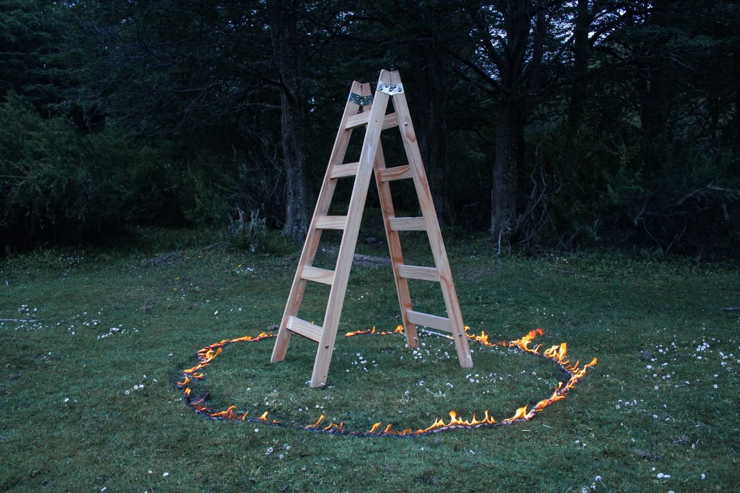 La reconstrucción de los cuerpos, Florencia Díaz (Todos los derechos reservados)