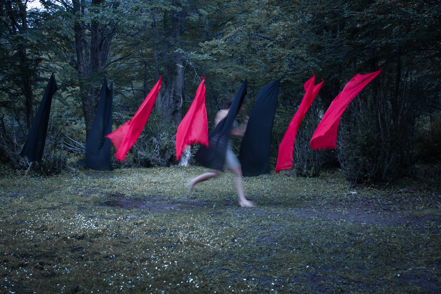 La reconstrucción de los cuerpos, Florencia Díaz (Todos los derechos reservados)