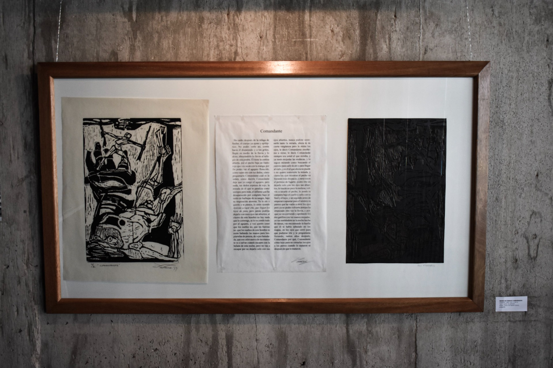 Comandante - serie Negro de fondo - Carlos Peiteado y Gastón Sironi